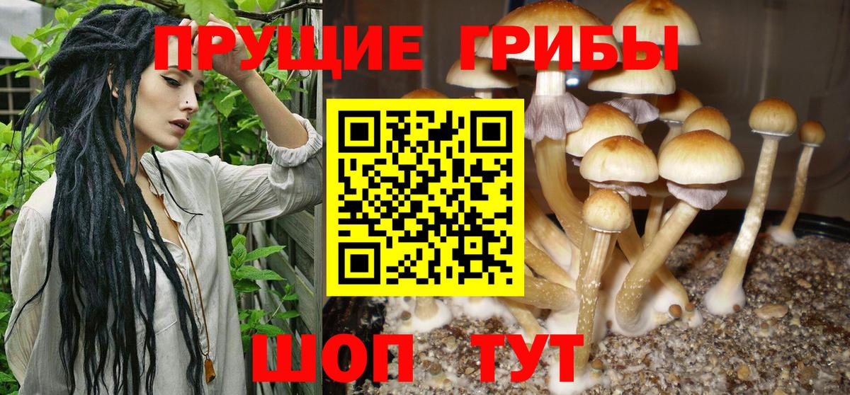 Усинск  продажа наркотиков  Вход с VPN  Псилоцибиновые грибы GOLDEN TEACHER 